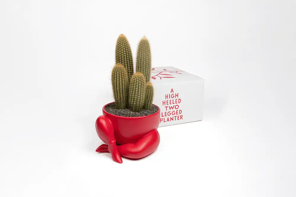 Parra - A High heeled two legged planter (RED)