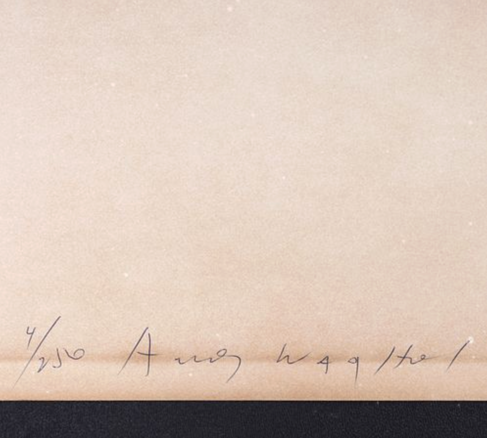 alt="Andy Warhol Vote McGovern 1972 signed screenprint detail of pencil signature and lower margin"
