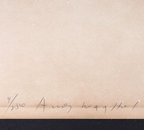 alt="Andy Warhol Vote McGovern 1972 signed screenprint detail of pencil signature and lower margin"
