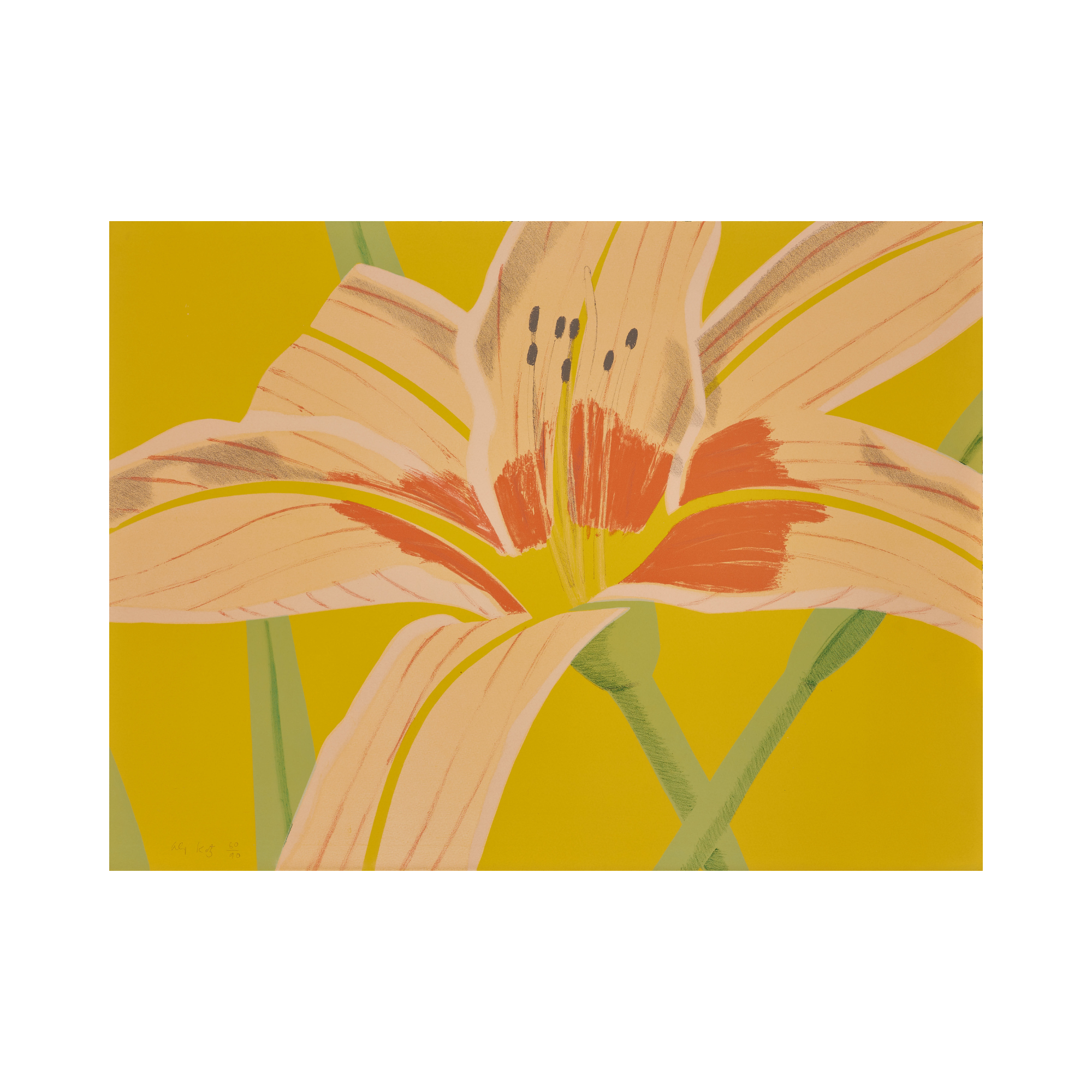 Alex Katz – Day Lily I (1969) I Limited Edition