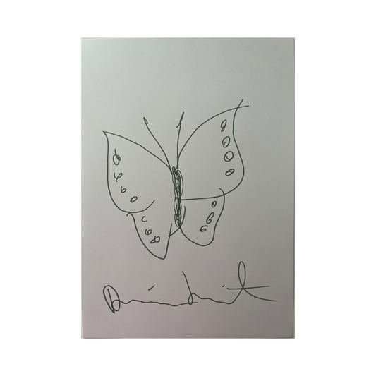 Damien Hirst - Farfalla (viola e rosa) - Disegno a inchiostro