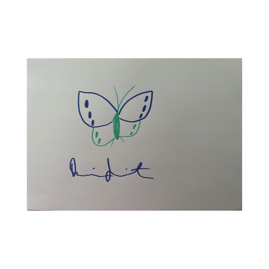 Damien Hirst – Schmetterling (Violett und Rosa) – Tuschezeichnung