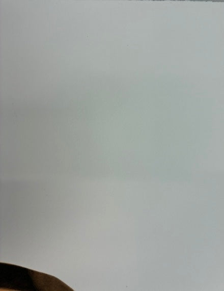 Alex Katz – Michael Lally (from the Face of the Poet portfolio) 1978 – image 5