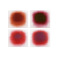 ANISH KAPOOR, Flow Red - etchings in colors