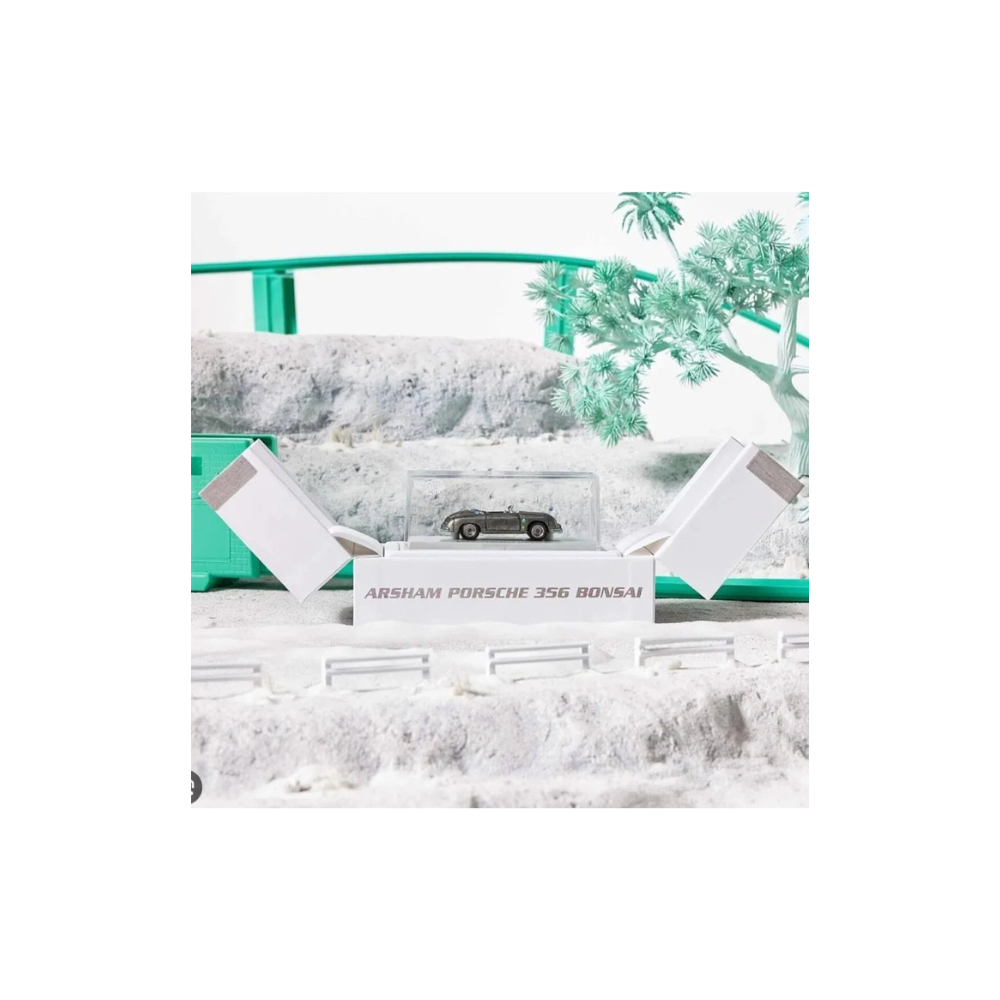 DANIEL ARSHAM × HOT WHEELS — Porsche 356 “Bonsai” (RLC, 1:64)