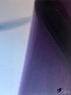 Alex Katz  - White Shirt (Vincent 1) LYNART STORE