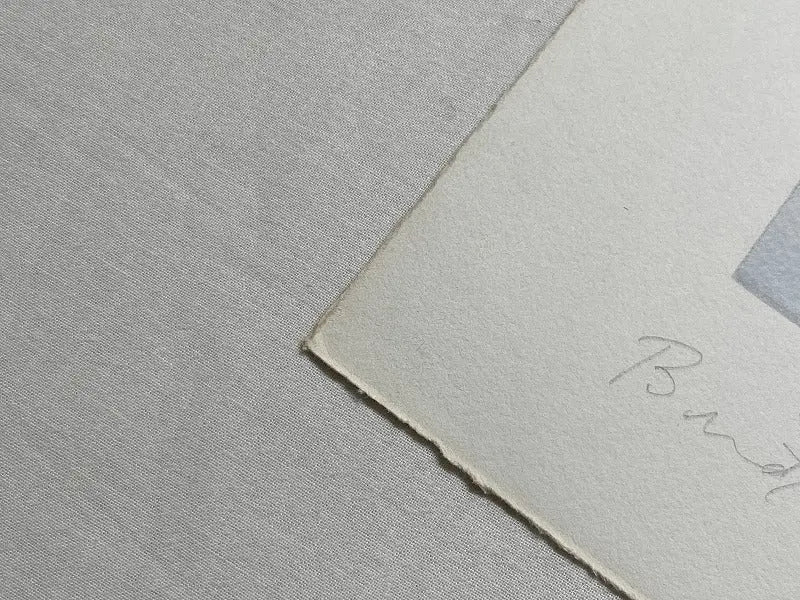 Bridget Riley – Untitled [Rose] (Schubert 27) 1978 L.Y.N.A.R.T Store