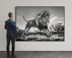 David Yarrow - Succession Large (2022) I Limited Edition
