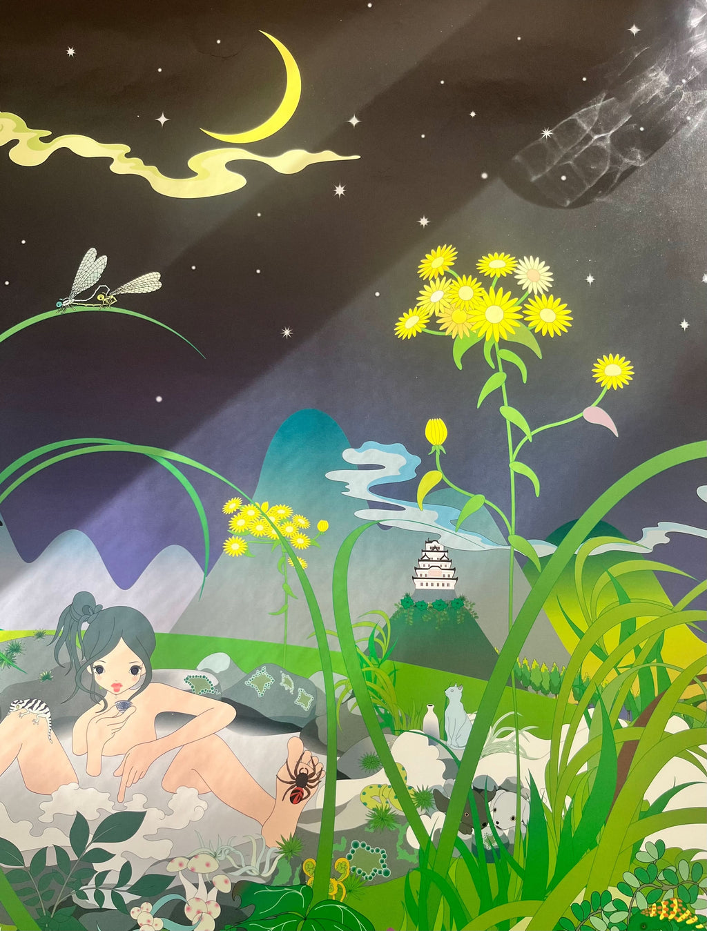 Chiho Aoshima - Hot Spring (2005) LYNART STORE