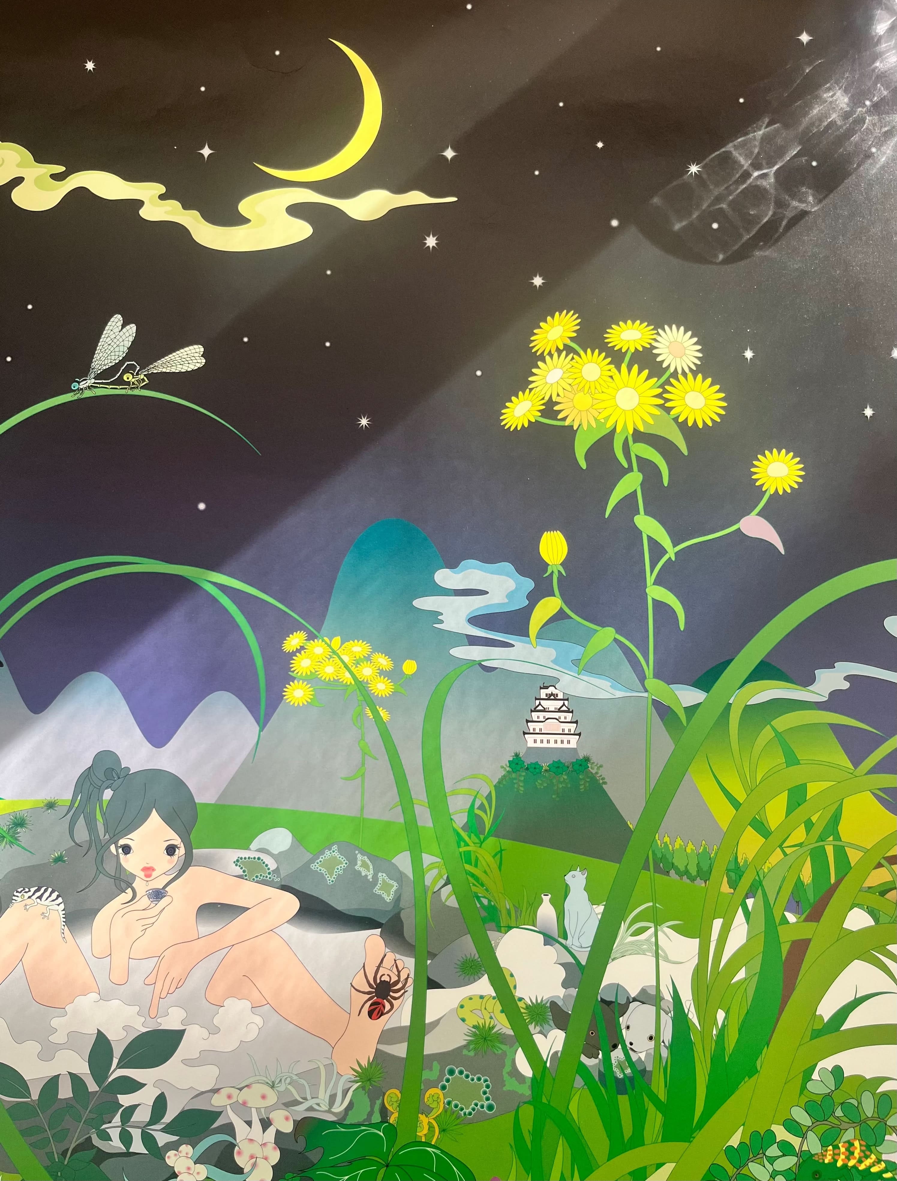 Chiho Aoshima - Hot Spring (2005) LYNART STORE