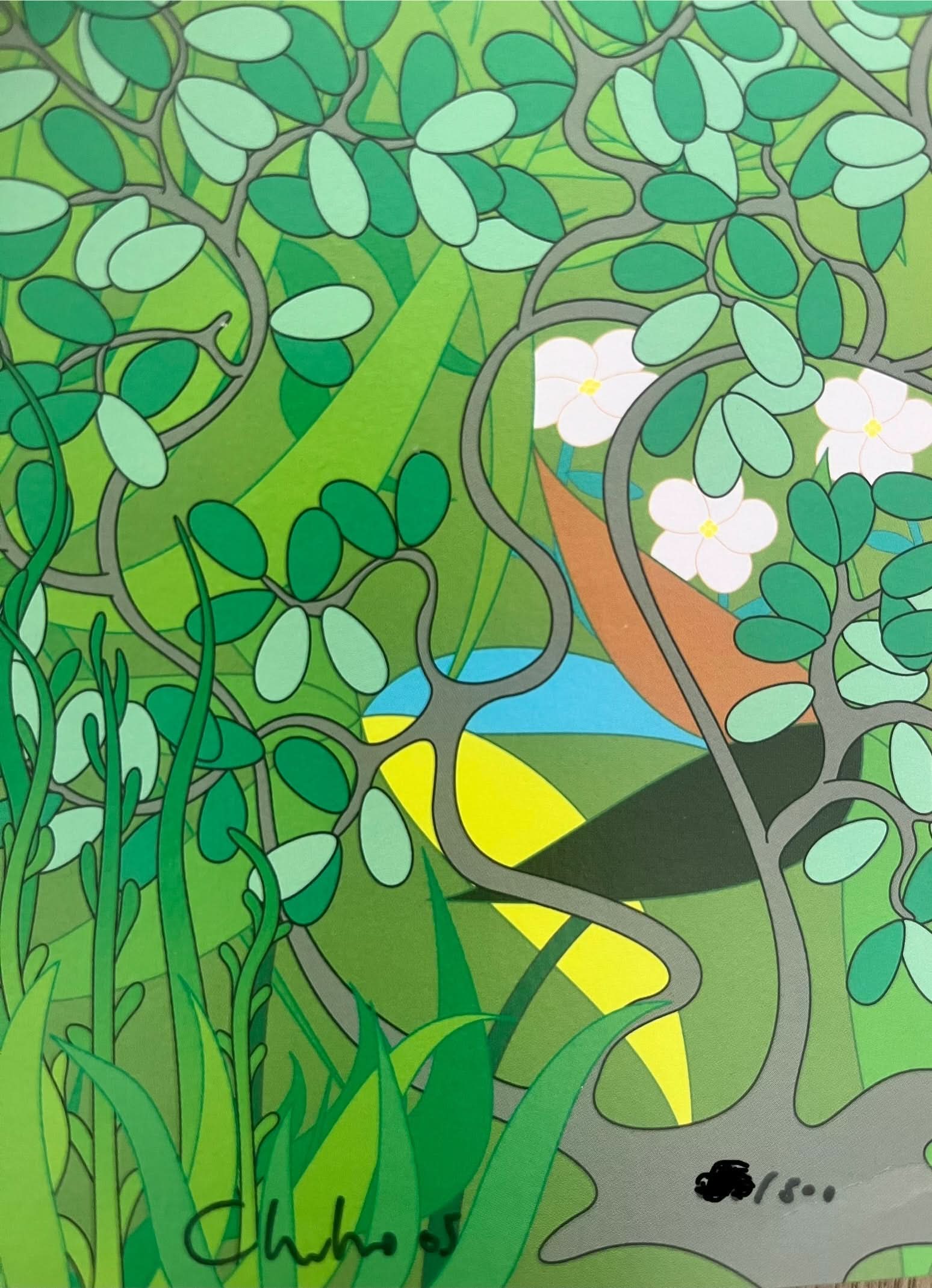 Chiho Aoshima - Hot Spring (2005) - Color screenprint – LYNART STORE