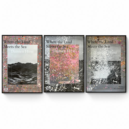 Set di 3 Damien Hirst, litografie firmate “Quando la terra incontra il mare”
