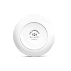 Damien Hirst - All Over Text Small Plate - screen–printed with a vibrant Currency Dot design - SAVE from 20% LYNART STORE