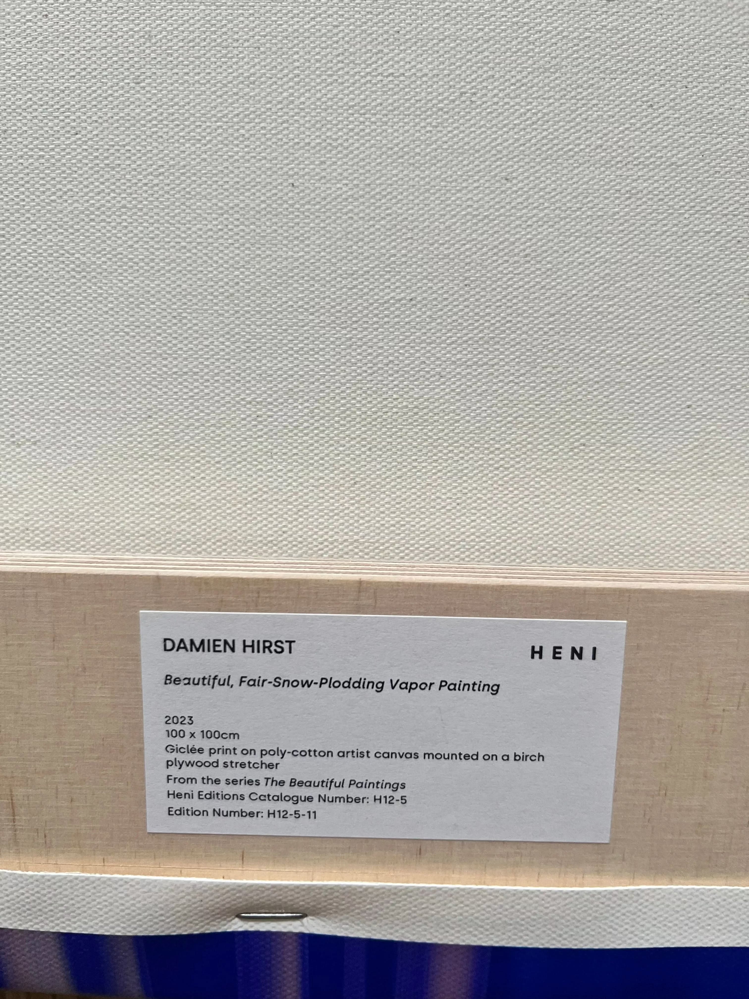 Damien Hirst - H12-5-11 , Beautiful Fair-snow  Painting, 2023 LYNART Store