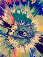 Damien Hirst - H12-5-192- Beautiful Equatorial Seabag Vapor Painting 2023 LYNART Store