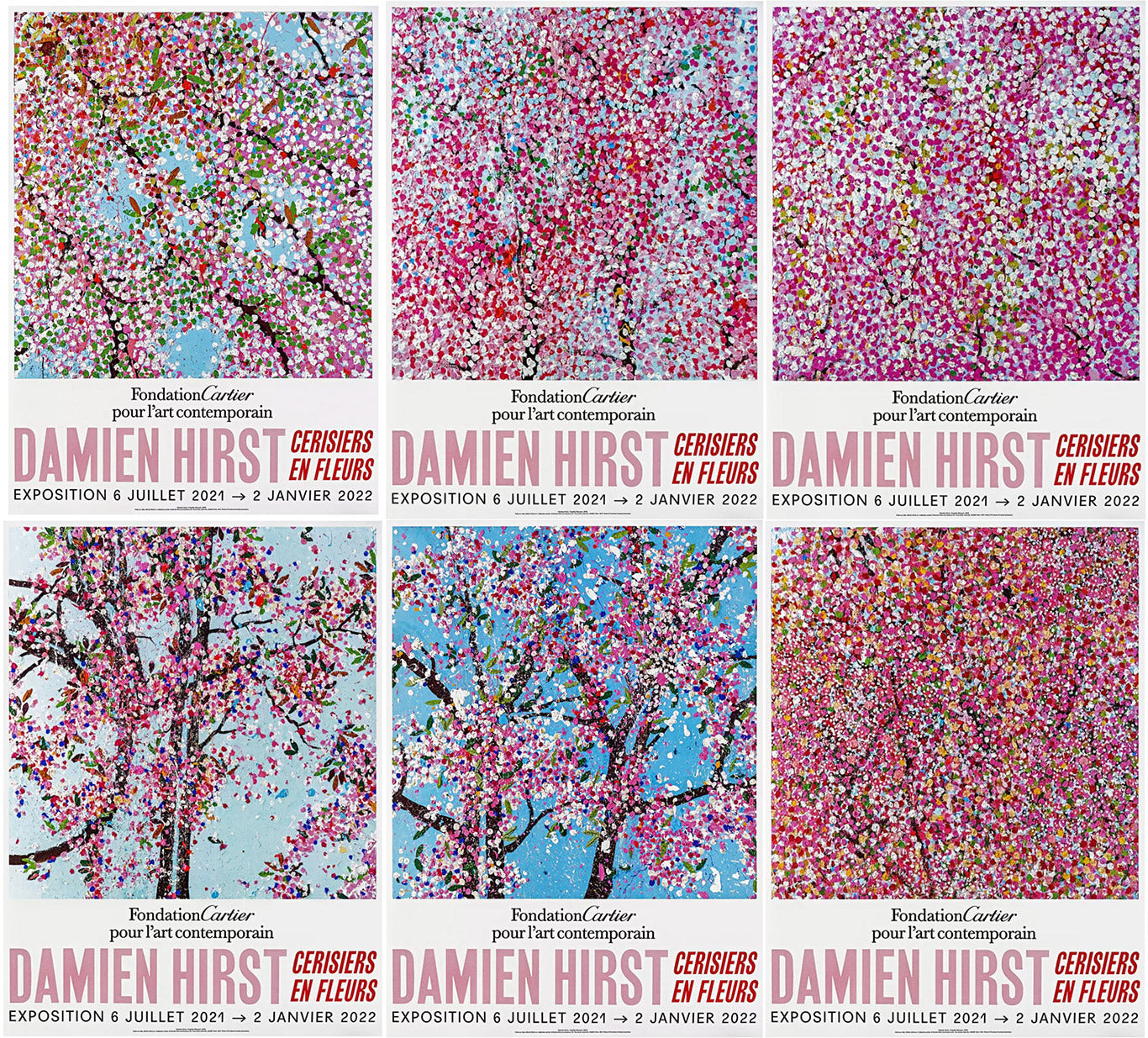 Offre spéciale : Set de 6 - Damien Hirst - Cherry Blossom - Fondation Cartier Paris ©, Affiches originales de l'exposition