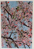 Damien Hirst - Set de 5 cartes postales - Cerisiers en Fleurs LYNART Store