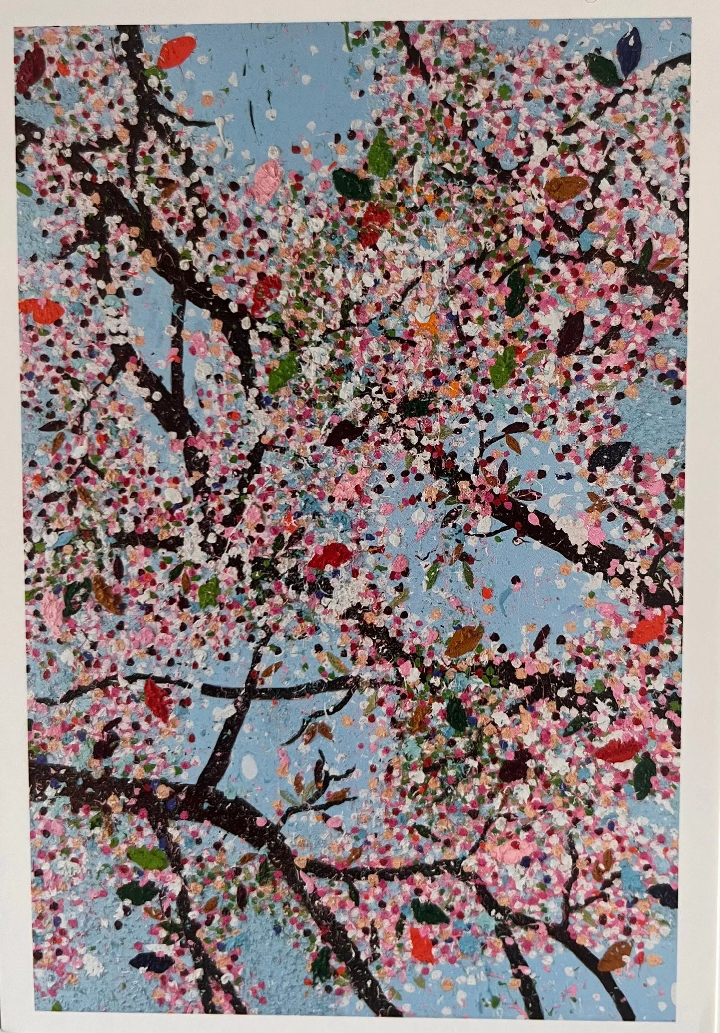 Damien Hirst - Set de 5 cartes postales - Cerisiers en Fleurs LYNART Store