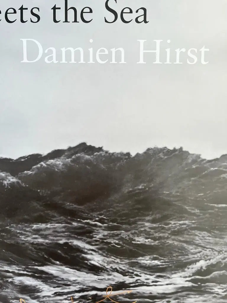 Damien Hirst, Lithographie Signée à la main « When the Land Meets the Sea » LYNART STORE