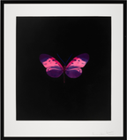 Damien Hirst, Memento: One Print, 2008 LYNART STORE