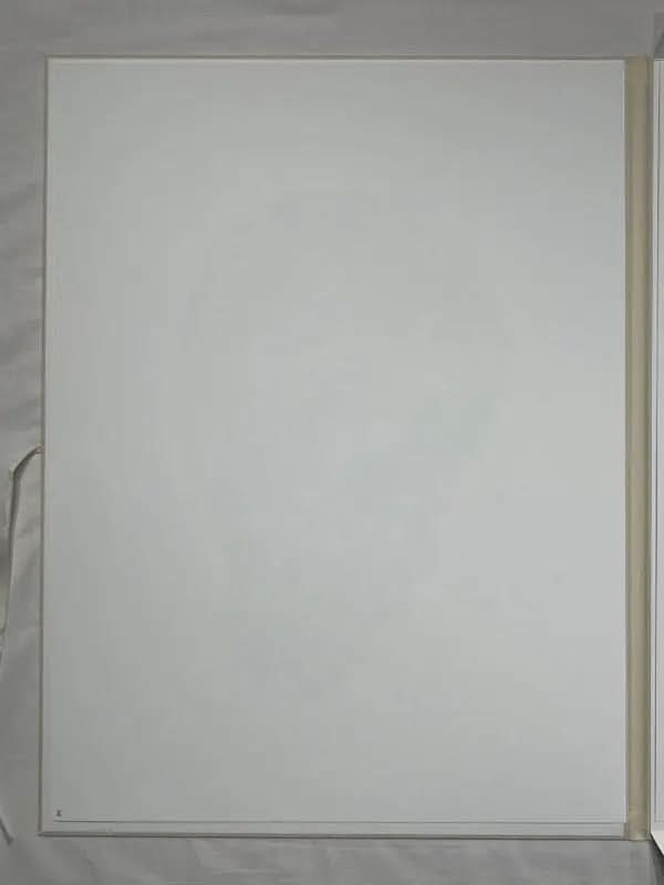 Daniel Arsham -  Eroded Classical Print - Lucius Verus LYNART STORE