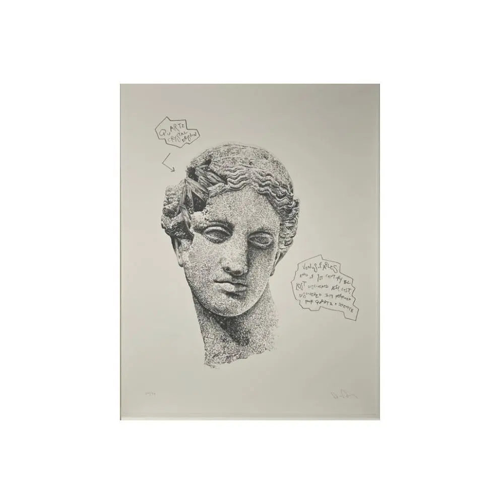 Daniel Arsham -  Eroded Classical Print - Melpomene LYNART STORE