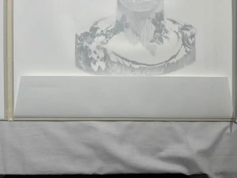 Daniel Arsham -  Eroded Classical Print - Venus of Arles LYNART STORE