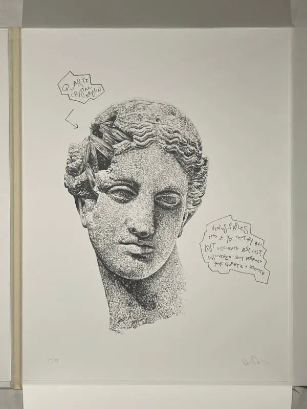 Daniel Arsham, Eroded Classical Prints (Set of 3) – LYNART STORE