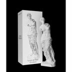 Daniel Arsham - Eroded Venus de Milo (2020) LYNART STORE