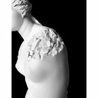 Daniel Arsham - Eroded Venus de Milo (2020) LYNART STORE