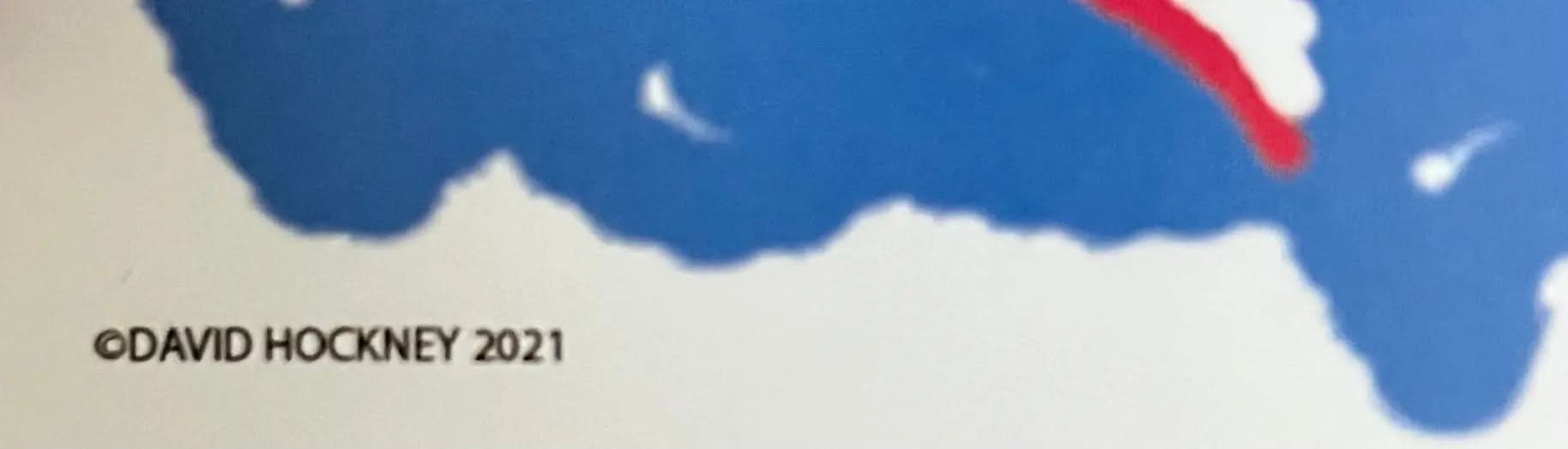 David Hockney Remember You Cannot Look L.Y.N.A.R.T Store