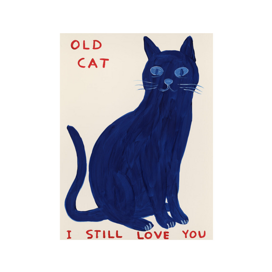 David Shrigley, Old Cat, (2022) LYNART STORE