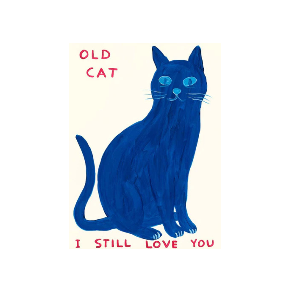 David Shrigley, Old Cat, (2022) LYNART STORE