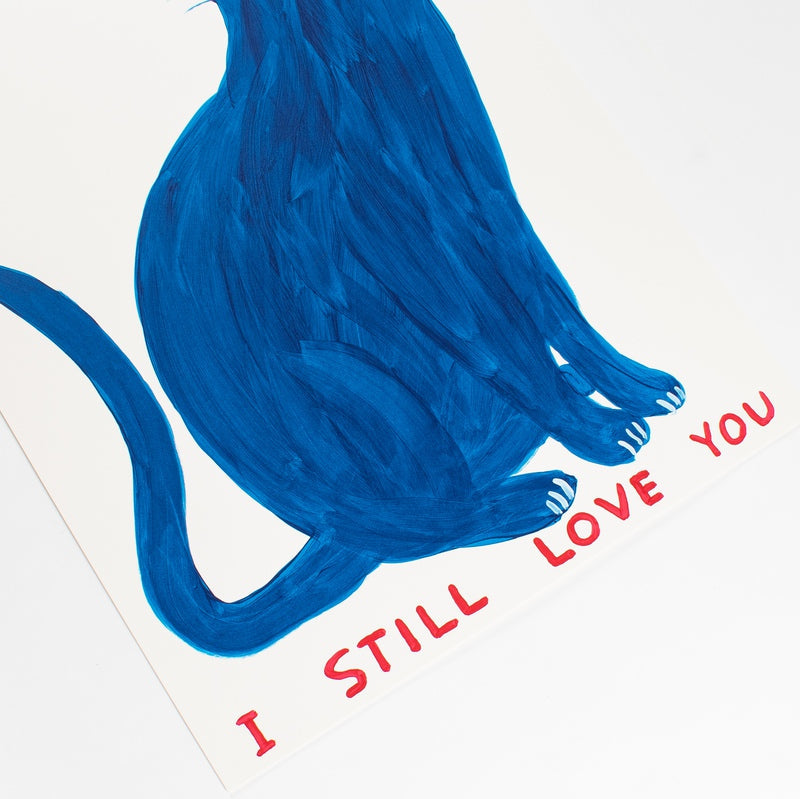 David Shrigley, Old Cat, (2022) LYNART STORE