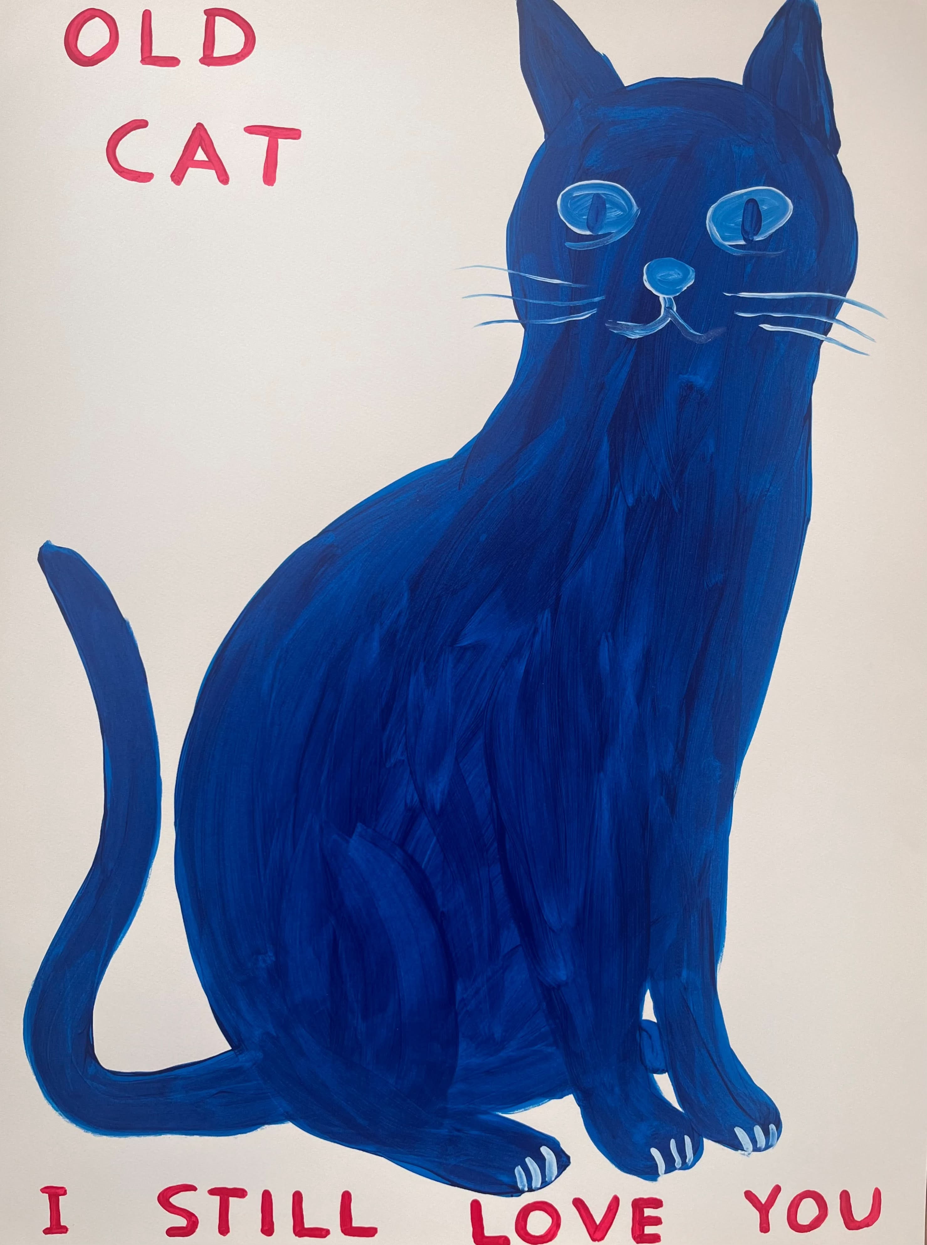 David Shrigley, Old Cat, (2022) LYNART STORE