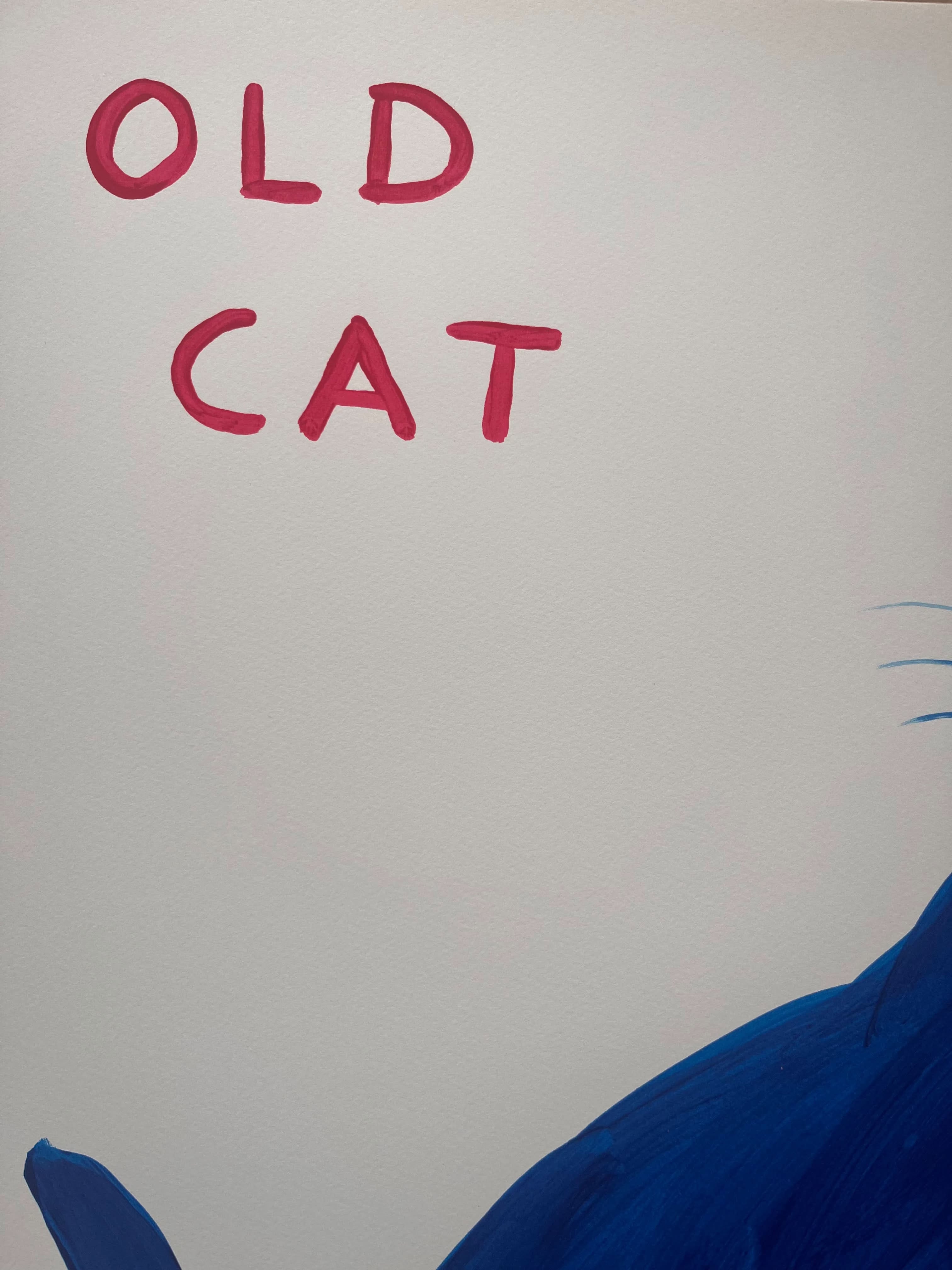 David Shrigley, Old Cat, (2022) LYNART STORE
