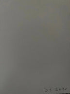 David Shrigley, Untitled Witness My Joy (2022) LYNART STORE