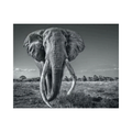 David YARROW, Space for Giant (2020) LYNART STORE