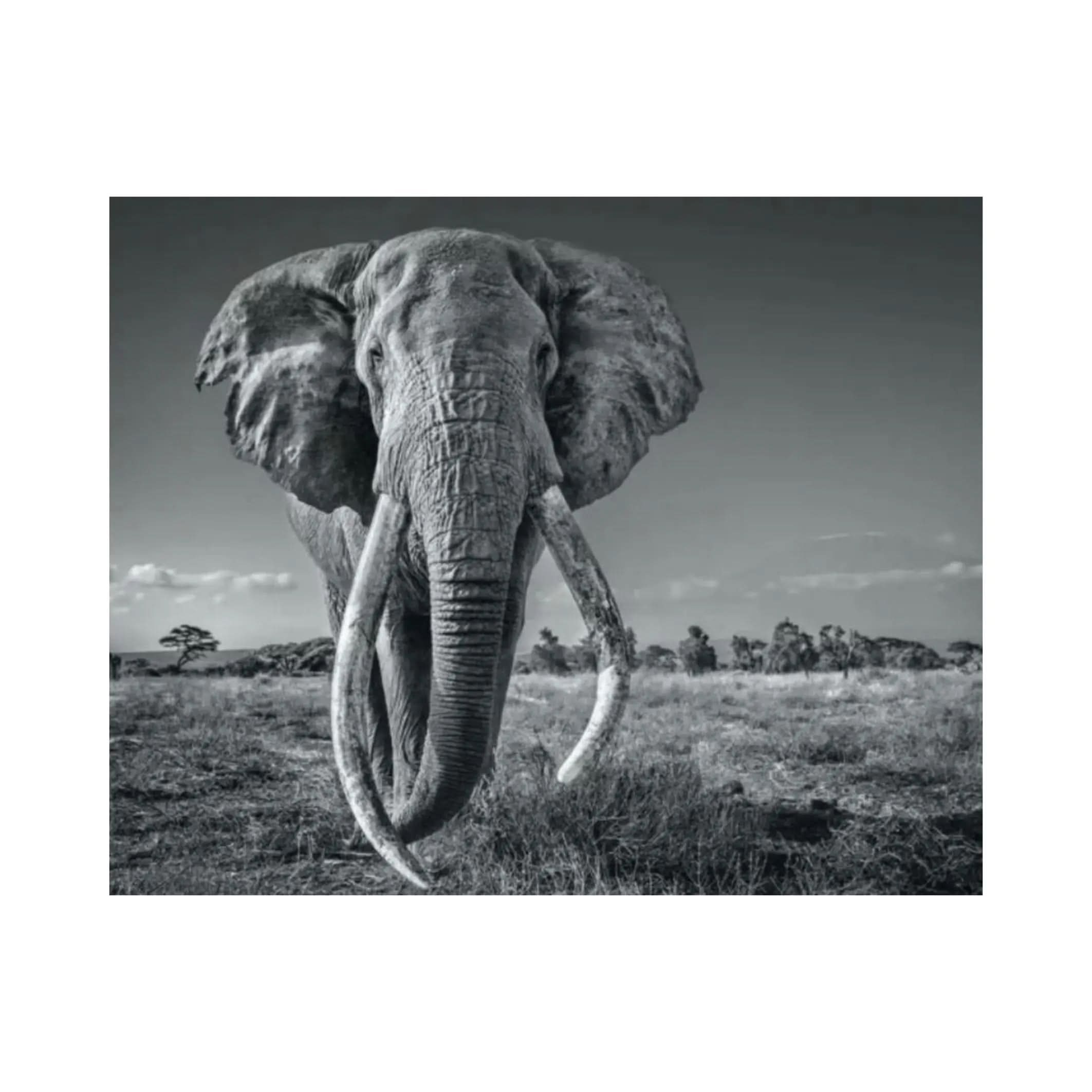 David YARROW, Space for Giant (2020) LYNART STORE