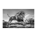 David Yarrow, Succession, 2022 - Museum glass, mat board, and black wooden frame