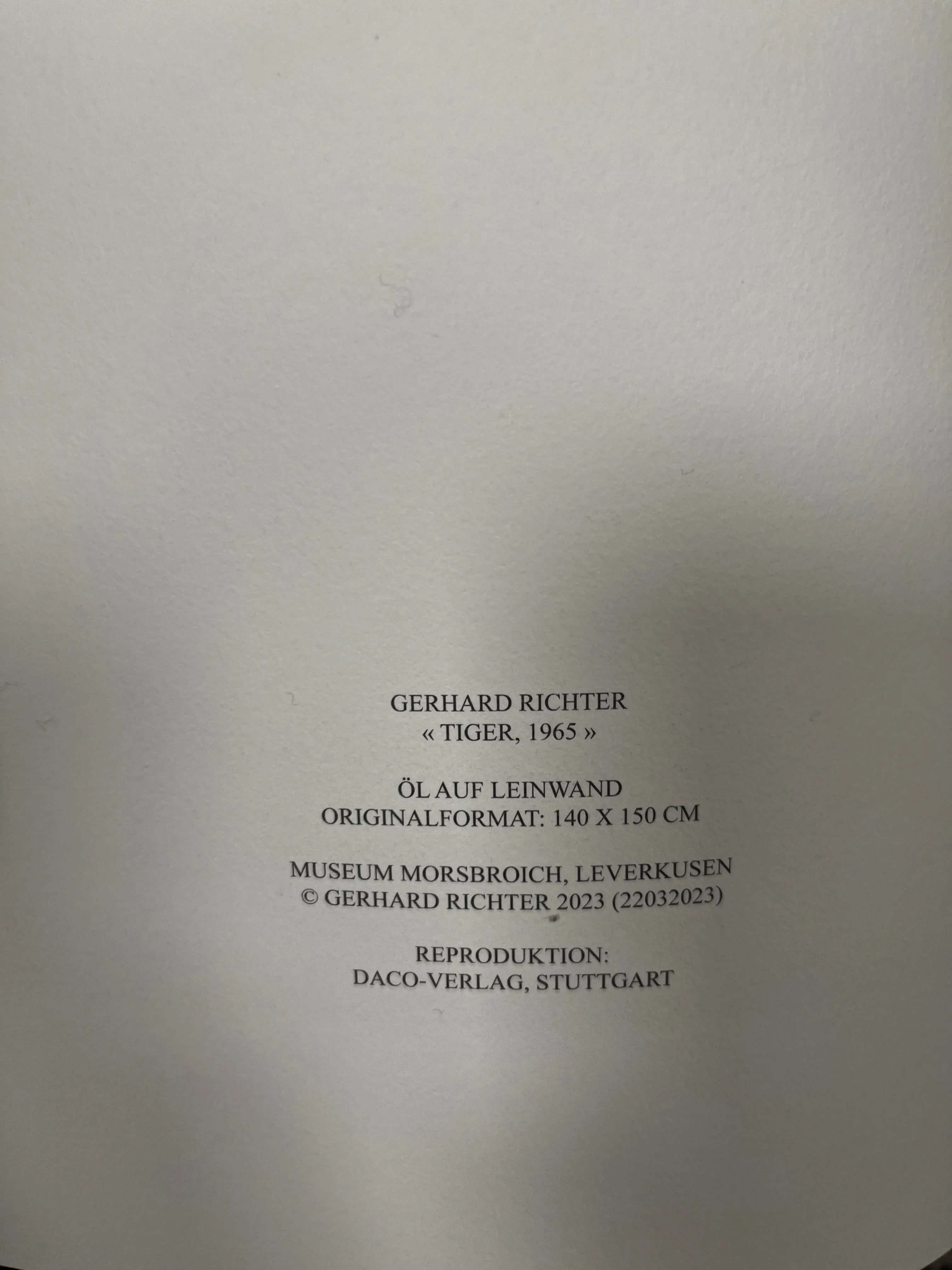 Gerhard Richter - Tiger 1965/2023 - Hybrid halftone print – LYNART