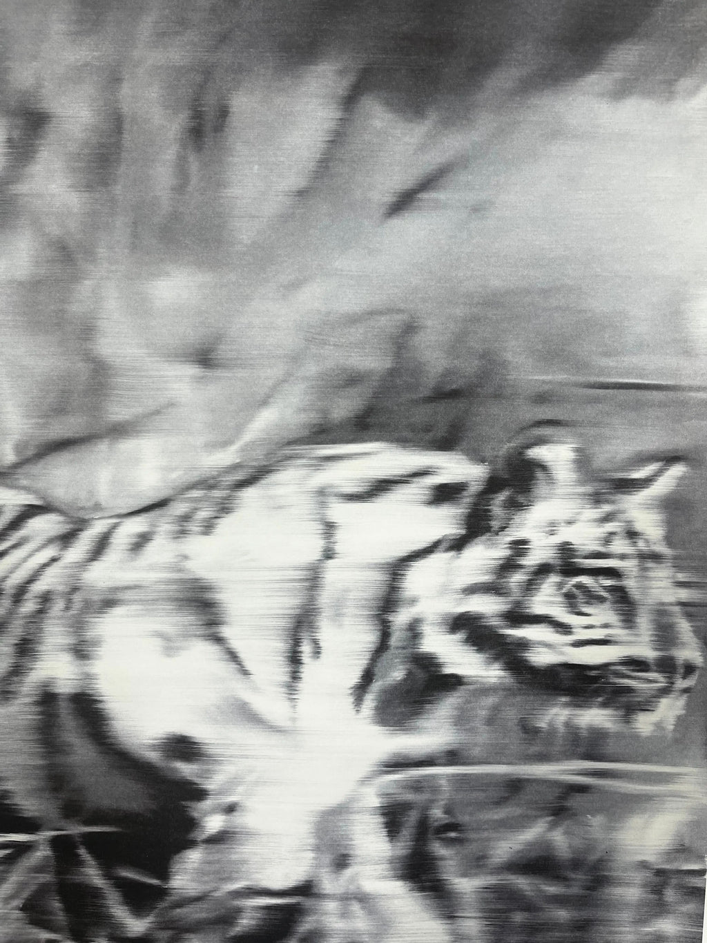 Gerhard Richter, Tiger 1965/2023 L.Y.N.A.R.T Store