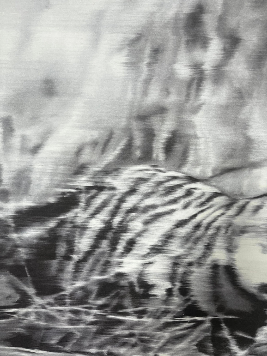 Gerhard Richter, Tiger 1965/2023 L.Y.N.A.R.T Store