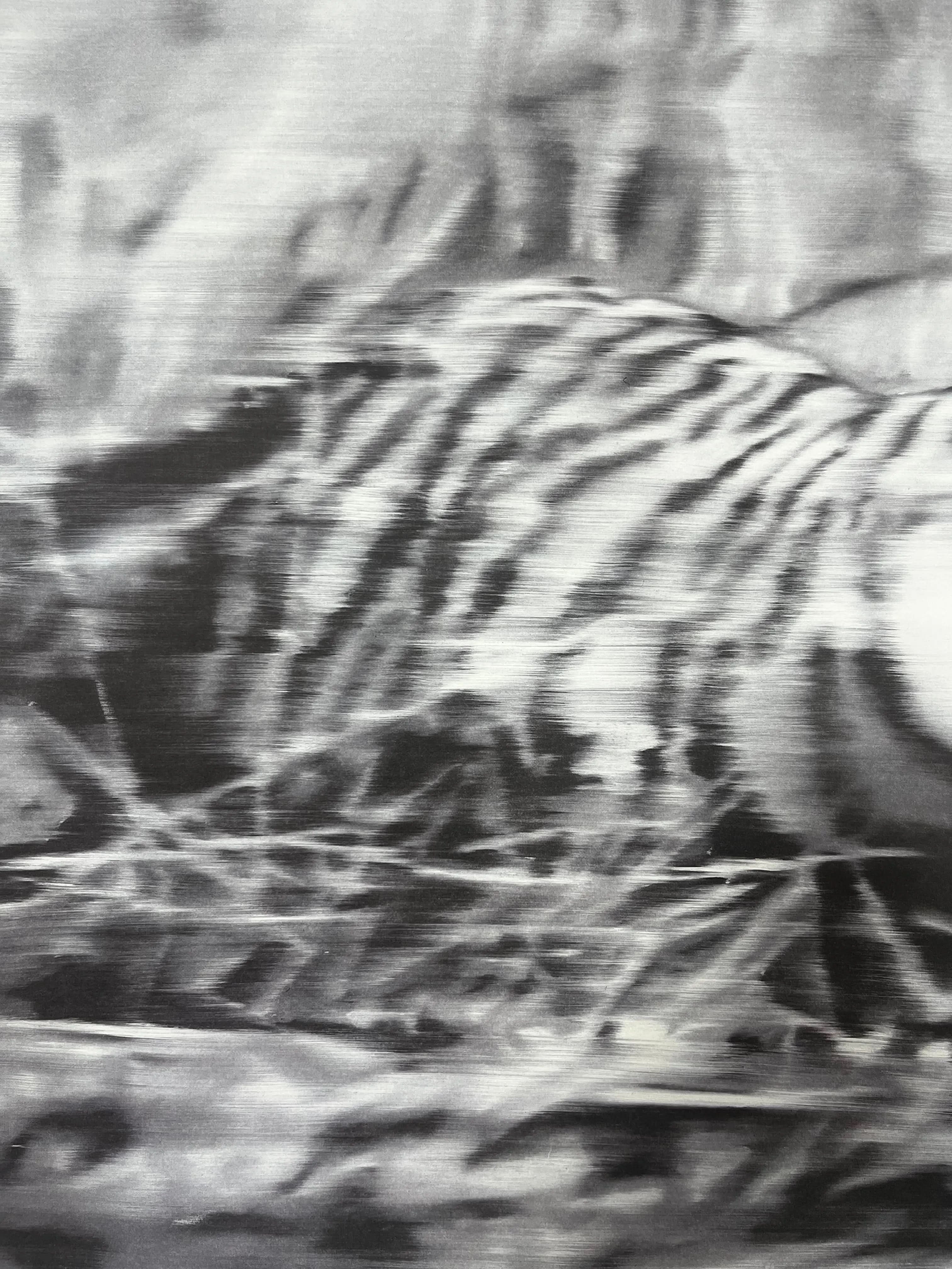 Gerhard Richter Tiger, 1965 版画 (2024) Gerhard Richter - Tiger 1965/2023 - Hybrid halftone print – LYNART
