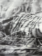 Gerhard Richter, Tiger 1965/2023 L.Y.N.A.R.T Store