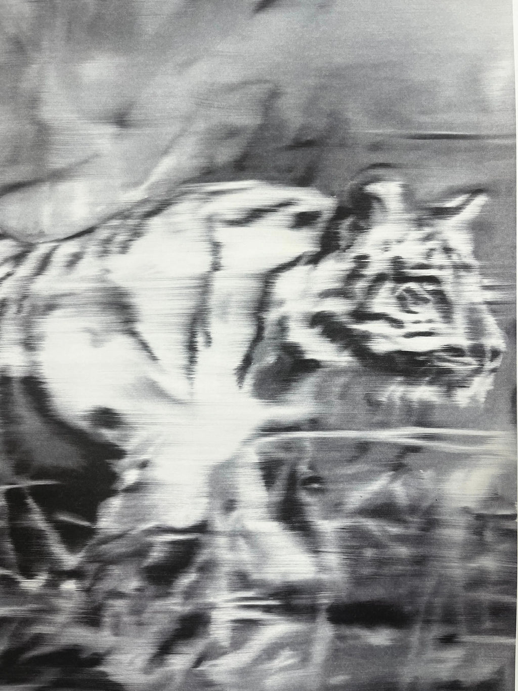 Gerhard Richter, Tiger 1965/2023 L.Y.N.A.R.T Store
