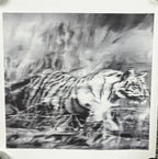 Gerhard Richter, Tiger 1965/2023 L.Y.N.A.R.T Store