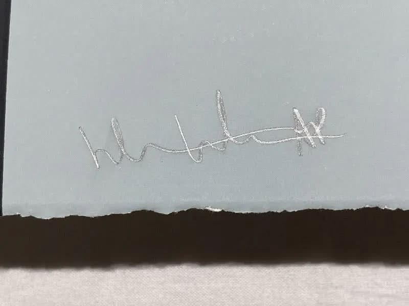 Hebru Brantley, Flynamic Duo (2017) (AP) LYNART STORE