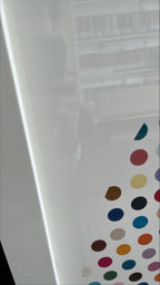 Damien Hirst, Valium (2000)