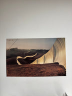 Christo & Jeanne-Claude – Running Fence, Californie